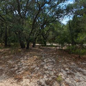 Photo #2 of 2006 Sea Horse Road, Corolla, NC 0.3 acres