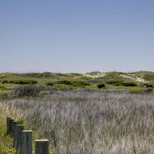 Photo #16 of 23270 Midgetts Mobile Court, Rodanthe, NC 1.6 acres