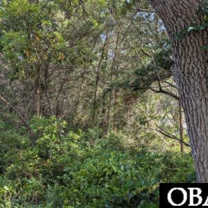 Photo #2 of TBD Creek Point Road, Ocracoke, NC 0.1 acres