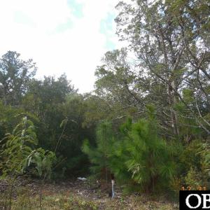 Photo #24 of TBD Sarah Ellen Drive, Ocracoke, NC 0.3 acres