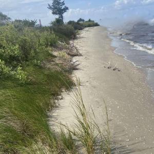 Photo #5 of 12 Carolina Cays, Wanchese, NC 9.9 acres