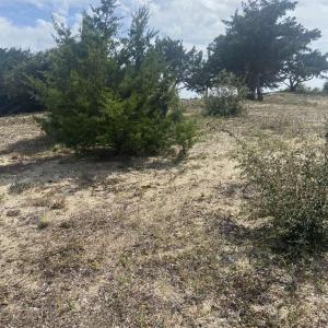 Photo #3 of 12 Carolina Cays, Wanchese, NC 9.9 acres