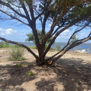 Photo #4 of 12 Carolina Cays, Wanchese, NC 9.9 acres