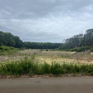 Photo #13 of 4229 Johnston Lane, Kitty Hawk, NC 0.5 acres
