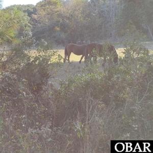 Photo #5 of 2236 Sandpiper Road, Corolla, NC
