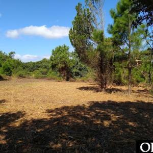 Photo #1 of 2236 Sandpiper Road, Corolla, NC