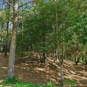 Photo #6 of 404 Villa Dunes Drive, Nags Head, NC 0.3 acres