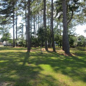 Photo #8 of 105 Mallard Court, Grandy, NC 0.5 acres