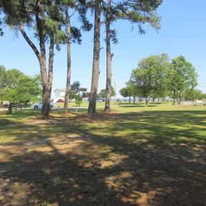 Photo #7 of 105 Mallard Court, Grandy, NC 0.5 acres