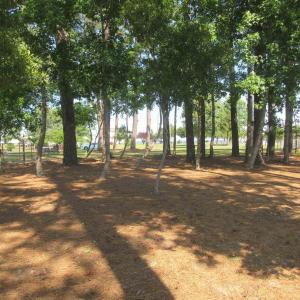 Photo #11 of 105 Mallard Court, Grandy, NC 0.5 acres