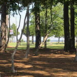 Photo #6 of 105 Mallard Court, Grandy, NC 0.5 acres