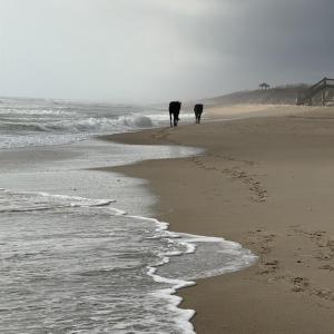 Photo #3 of 2391 Sandpiper Road, Corolla, NC 0.3 acres