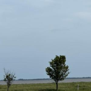 Photo #4 of 116 Hammock View Court, Aydlett, NC 0.5 acres