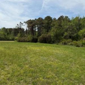 Photo #2 of 116 Hammock View Court, Aydlett, NC 0.5 acres