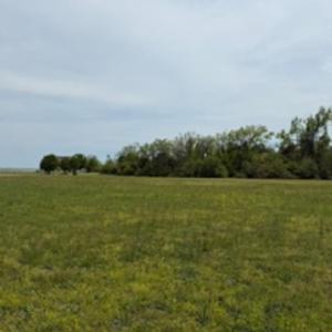 Photo #1 of 116 Hammock View Court, Aydlett, NC 0.5 acres
