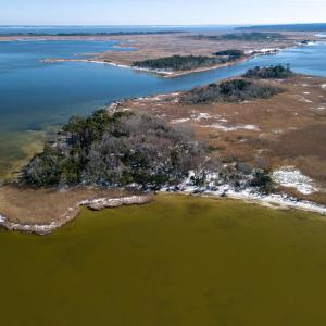 Photo #6 of Long Point Island, Barco, NC 54.0 acres