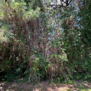 Photo #21 of NC 12 Highway, Buxton, NC 0.7 acres