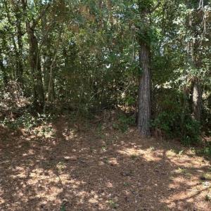 Photo #22 of NC 12 Highway, Buxton, NC 0.7 acres