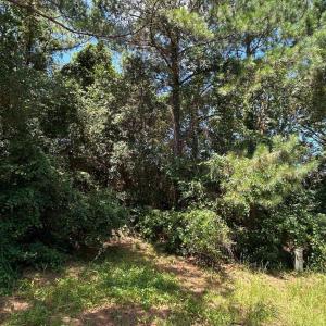 Photo #20 of NC 12 Highway, Buxton, NC 0.7 acres