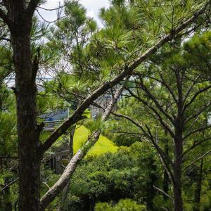 Photo #29 of Ridgeview Way, Nags Head, NC 0.5 acres