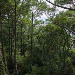 Photo #23 of Ridgeview Way, Nags Head, NC 0.5 acres