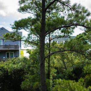 Photo #25 of Ridgeview Way, Nags Head, NC 0.5 acres