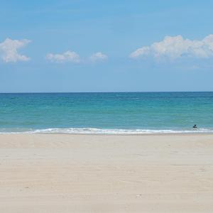 Photo #11 of 2245 Ocean Pearl Road, Corolla, NC 0.4 acres