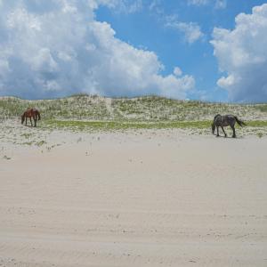 Photo #12 of 2245 Ocean Pearl Road, Corolla, NC 0.4 acres