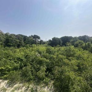 Photo #4 of 2109 Sandpiper Road, Corolla, NC 0.3 acres