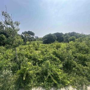 Photo #8 of 2109 Sandpiper Road, Corolla, NC 0.3 acres