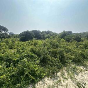 Photo #7 of 2109 Sandpiper Road, Corolla, NC 0.3 acres