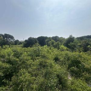 Photo #5 of 2109 Sandpiper Road, Corolla, NC 0.3 acres