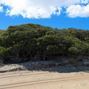 Photo #3 of 1612 Ocean Pearl Road, Corolla, NC 0.3 acres