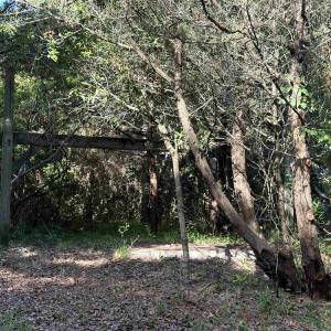 Photo #1 of Sand Dune Trail, Ocracoke, NC 0.2 acres