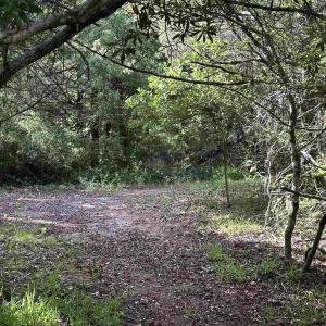Photo #3 of Sand Dune Trail, Ocracoke, NC 0.2 acres