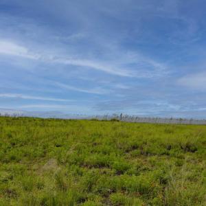 Photo #13 of 58160 Hatteras Harbor Court, Hatteras, NC