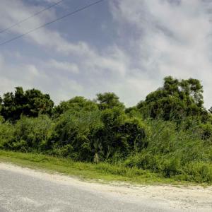 Photo #14 of 52229 Henry Drive, Frisco, NC 1.7 acres