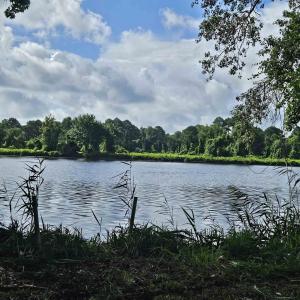 Photo #13 of WL33 East Waterway Drive, Belhaven, NC 237,402.0 acres