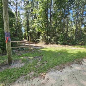 Photo #17 of WL33 East Waterway Drive, Belhaven, NC 237,402.0 acres