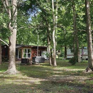 Photo #7 of WL33 East Waterway Drive, Belhaven, NC 237,402.0 acres