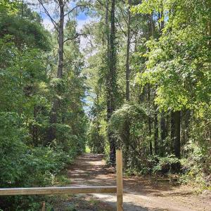 Photo #18 of WL33 East Waterway Drive, Belhaven, NC 237,402.0 acres