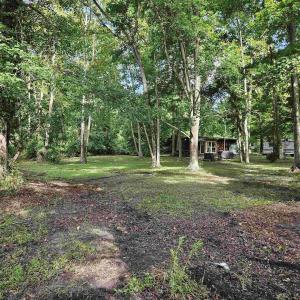 Photo #8 of WL33 East Waterway Drive, Belhaven, NC 237,402.0 acres