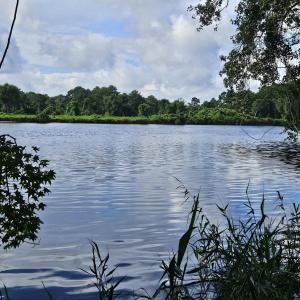 Photo #3 of WL33 East Waterway Drive, Belhaven, NC 237,402.0 acres