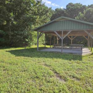 Photo #20 of WL33 East Waterway Drive, Belhaven, NC 237,402.0 acres