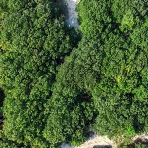 Photo #6 of 2216 Sandpiper Road, Corolla, NC 0.3 acres