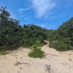 Photo #6 of 2244 Ocean Pearl Road, Corolla, NC 0.4 acres