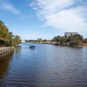 Photo #10 of 2244 Ocean Pearl Road, Corolla, NC 0.4 acres