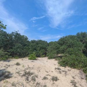 Photo #5 of 2244 Ocean Pearl Road, Corolla, NC 0.4 acres