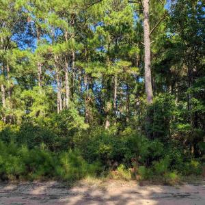 Photo #6 of 2375 Ocean Pearl Road, Corolla, NC 0.3 acres
