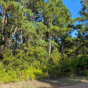 Photo #5 of 2375 Ocean Pearl Road, Corolla, NC 0.3 acres